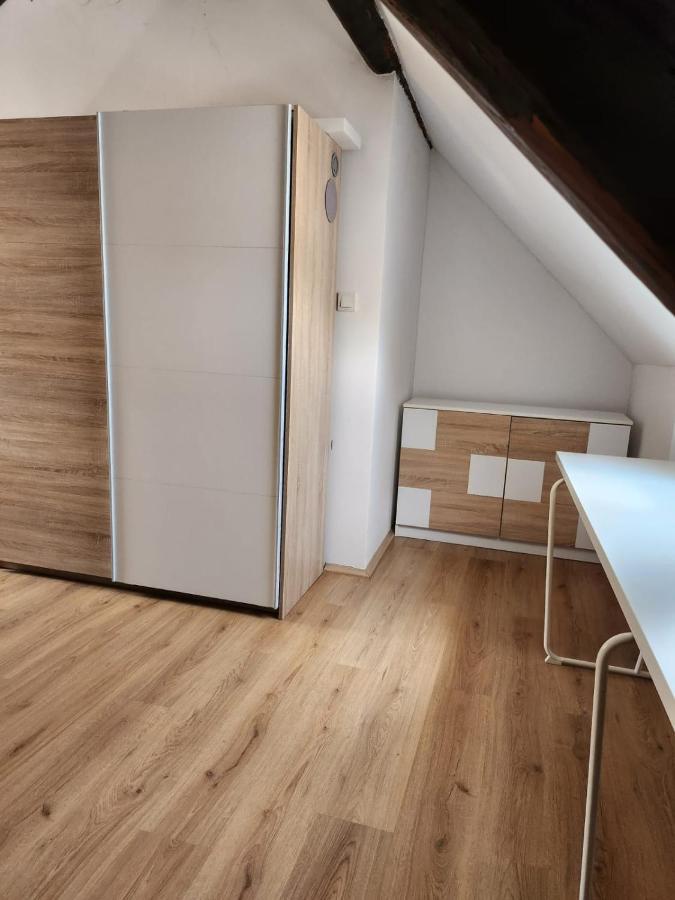 Apartman Buzanova 001 Διαμέρισμα Ζάγκρεμπ Εξωτερικό φωτογραφία